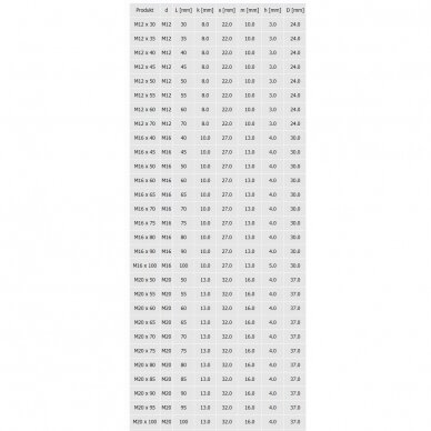 Konstrukcinis varžtas HV EN 14399 3